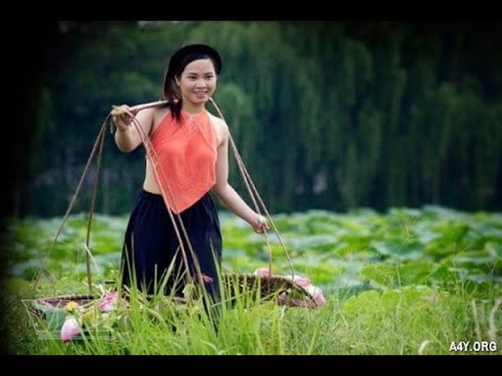 Xu hướng Jollibee Việt Nam mang “Vui: Hotspot Matrix tiết lộ bí quyết video viral