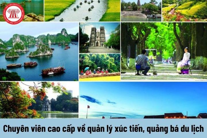 Hotspot Matrix: Giải pháp quản lý video ngắn toàn diện cho doanh nhân