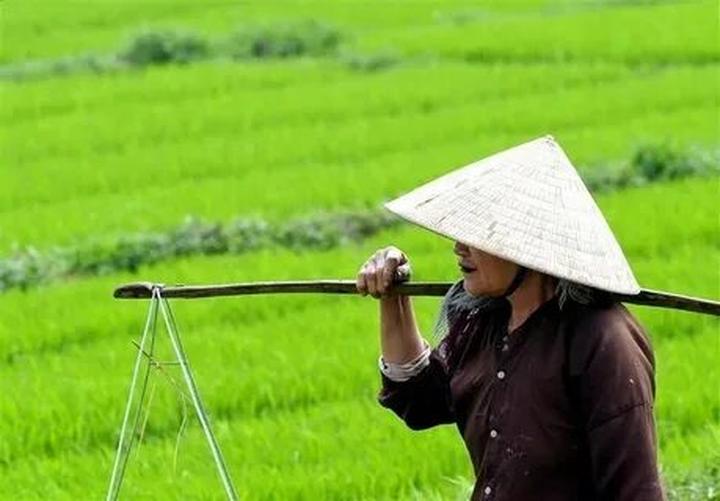 Từ Nhà Sáng Tạo Nhỏ Bé Đến Doanh Nghiệp Lớn Mạnh cùng Hotspot Matrix